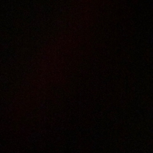 Meet your Posher, Riley - Picture 1 of 1